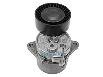 KAYIS GERGİ KÜTÜGÜ M646