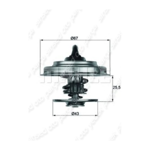 TERMOSTAT 79d M102.103.123.115
